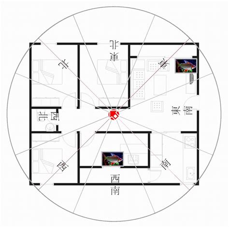 西南朝東北的房子|坐西南朝東北的12個房屋風水專業建議，助你選擇最佳住宅 